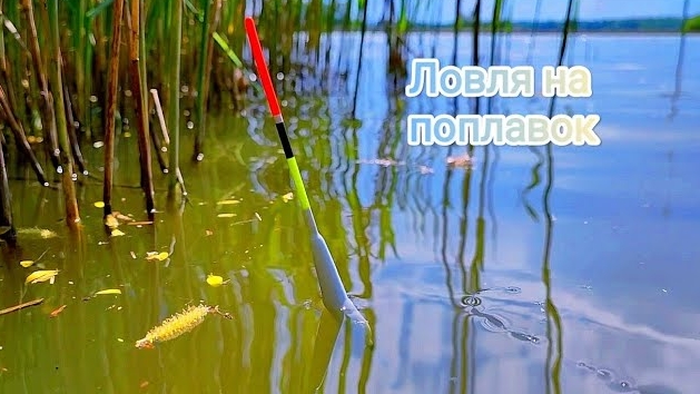 ЛОВЛЯ на ПОПЛАВОК!!! Махать устал))) поклёвка за поклёвкой!!! смотреть онлайн
