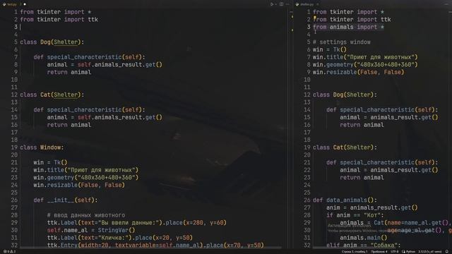 Приют для животных #8 Python 3 смотреть онлайн