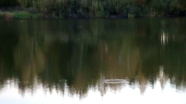 Осенний жор уклейки. Рыбы просто тьма. смотреть онлайн