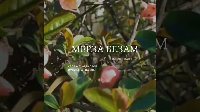 Ильяс Эбиев