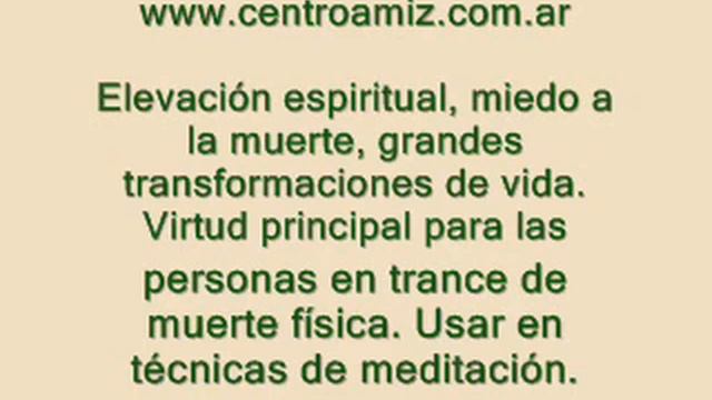 Esencias Florales del Mediterraneo. Victoria Regia. www.centroamiz.blogspot.com смотреть онлайн