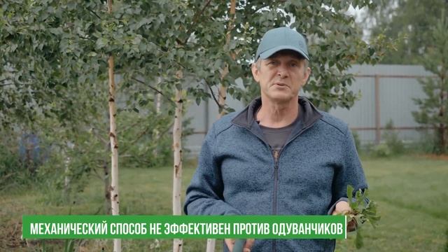 СПОСОБЫ БОРЬБЫ С СОРНЯКАМИ. Как избавиться от одуванчиков на участке? смотреть онлайн
