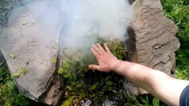 Копчение рыбы на абрикосовых листьях. смотреть онлайн