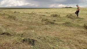 сенокос 2022 часть 2