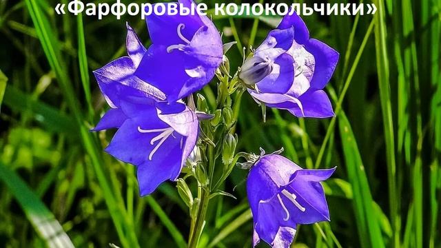 урок 83 литературное чтение 2 класс смотреть онлайн