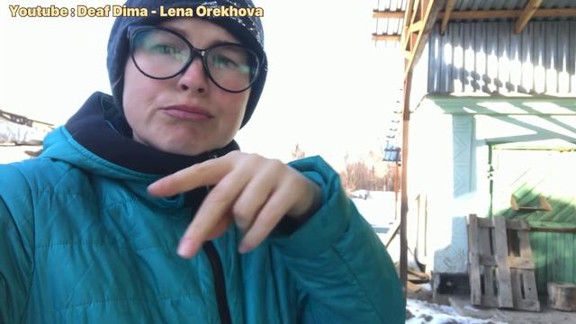 #13 Я ржал целый час/ милые котами/ Смешные кошки/ Приколы с кошками и котами/ смешные видео/ Глухи смотреть онлайн