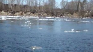 река Бурная Приозерский район