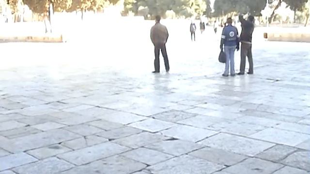 Тимур ,Роберт и Марат в Иерусалиме смотреть онлайн