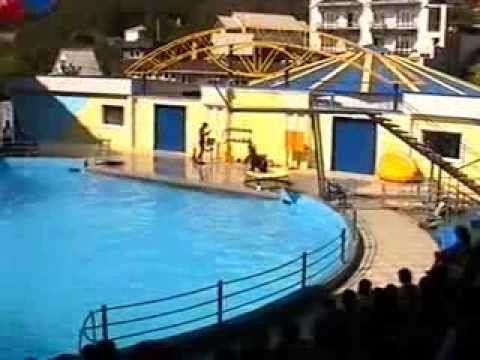 Туапсе 2006 - Часть 4 "Дельфинарий" смотреть онлайн