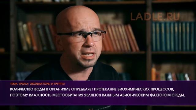 Экологические факторы и группы растений. Биология 6 класс. Абиотические, биотические, антропогенные смотреть онлайн