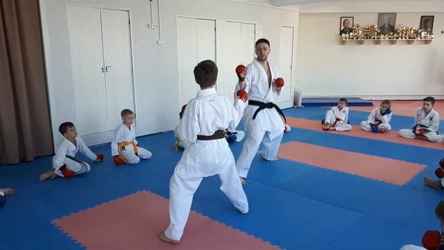 Семинар Дениса Бондарука: Кизами цуки, дистанция и др.  нюансы