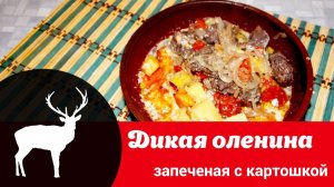 Видео рецепт оленины с картошкой: как вкусно и просто запечь оленину с овощами в духовке