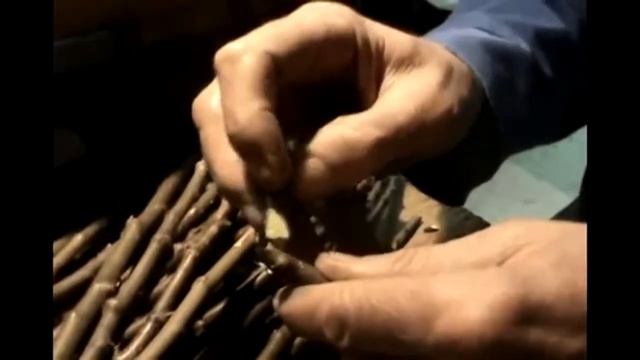 Весенне-зимняя прививка яблонь самодельным станком (Квебек, Канада) смотреть онлайн