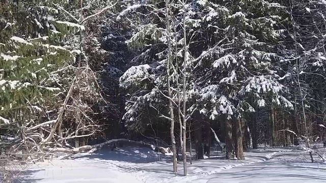 – Пекла блины у себя дома, когда туда вошел незнакомый мужчина, – рассказывает теперь всем Евдокия смотреть онлайн