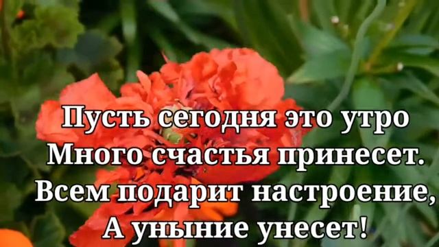 С добрым утром! пожелание хорошего дня (открытка музыкальная) смотреть онлайн