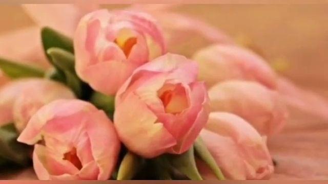 С днем дочери. Красивое поздравление для доченьки! смотреть онлайн