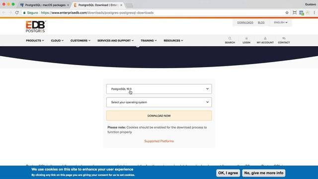 OVERVIEW E FUNDAMENTOS DO POSTGRESQL | POSTGRESQL #01 смотреть онлайн