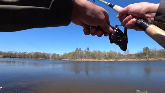 Рыбалка 2022 ВЕСНА. Ловля ПЛОТВЫ ВЕСНОЙ. Рыбалка на ФИДЕР в МАЕ. смотреть онлайн