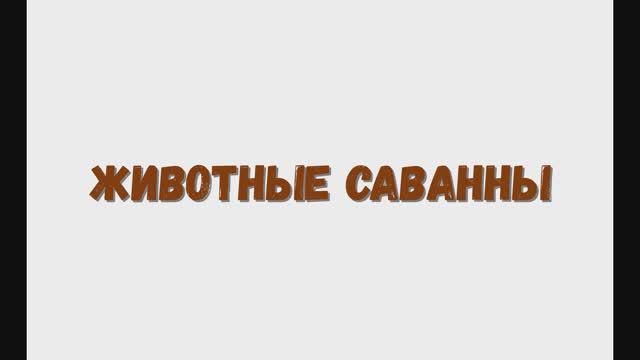 Изучаем животных саванны, животные. (Слон, жираф) смотреть онлайн