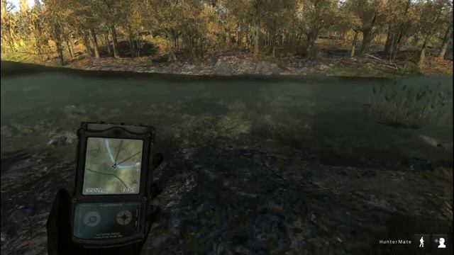 The Hunter PC Red Deer hunt (No Commentary) HD смотреть онлайн