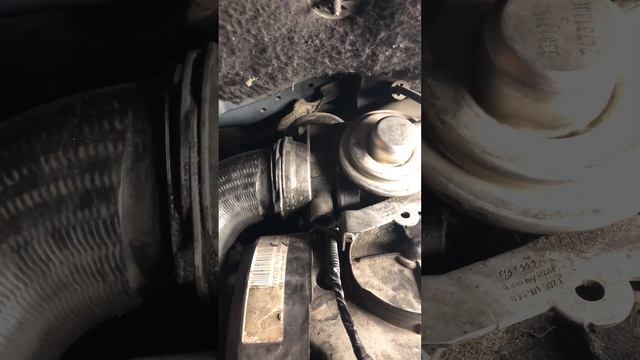 Volkswagen Touran p3102 Ошибка впускной замлонки смотреть онлайн