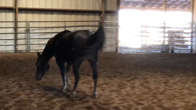 My 3yo Mighty Mouse playing in Arena смотреть онлайн