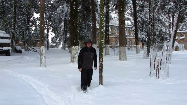 Стряхнул снег с пальмы смотреть онлайн