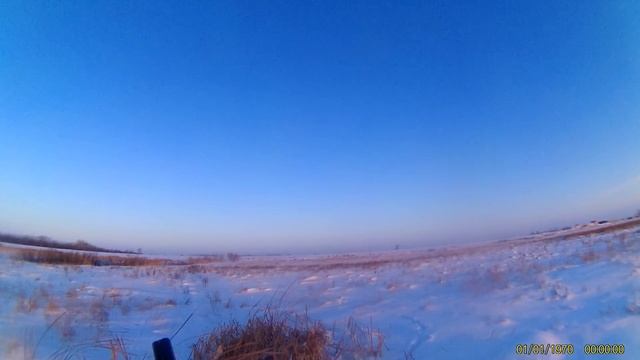 зимняя охота на зайца 2016 смотреть онлайн