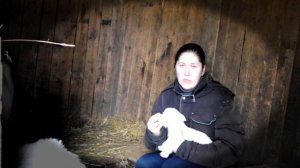 Что колоть козам и козлятом после родов.