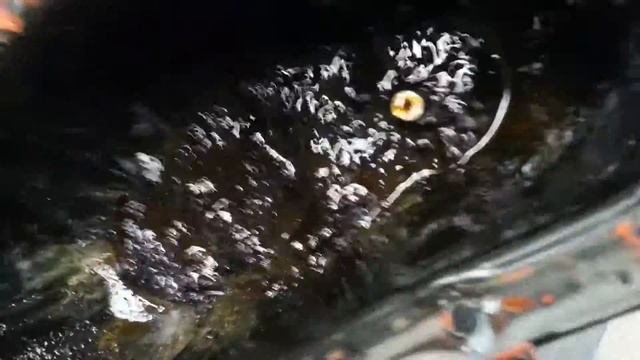 Forum support post: fj cruiser video sludge after atf and seafoam combined. смотреть онлайн