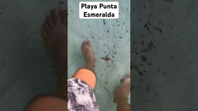 Fresh water Cenote right into the ocean ❤️❤️❤️ смотреть онлайн