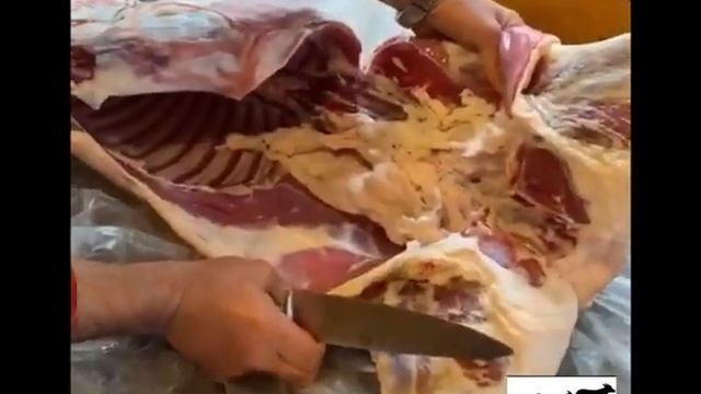 Как разделать барана. Кросс Дорпера и Гиссара. смотреть онлайн