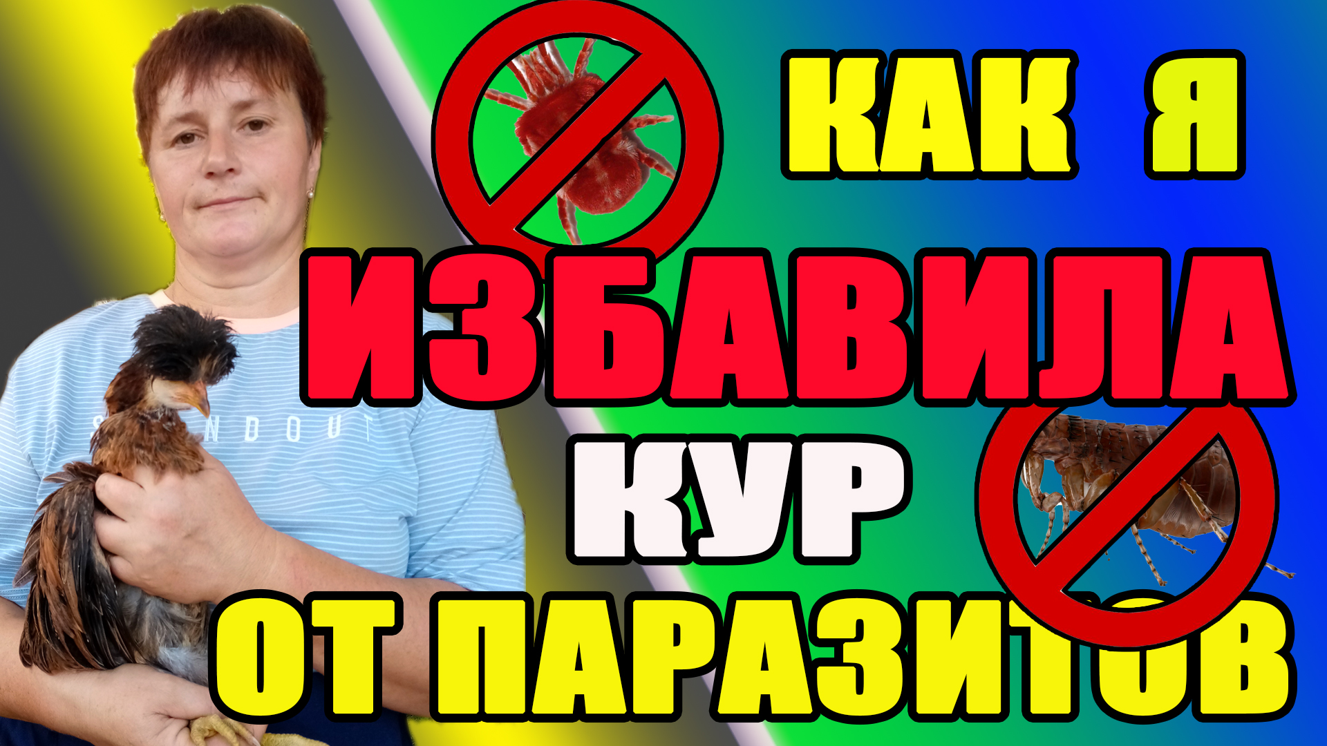 Как я избавила кур от паразитов. смотреть онлайн