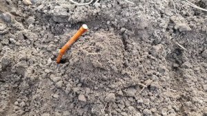 Посадка винограда черенком осенью на постоянное место.