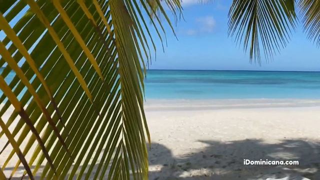 Виллы в Доминикане (аренда): Новый год, зимовка, путешествия - IDominicana.com
