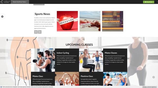 Fitness WordPress Theme eCommerce смотреть онлайн