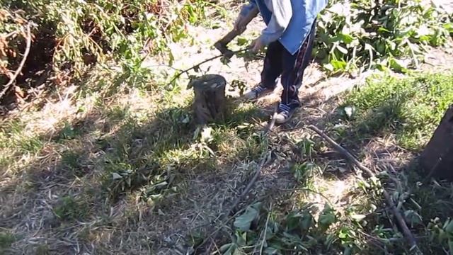 20150607 Водяное дача Журавский Егор учится рубить дрова смотреть онлайн