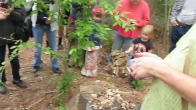 PolyPore Mushrooms смотреть онлайн