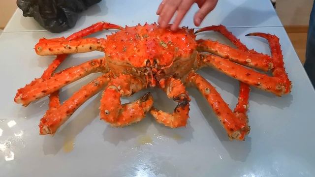 ? Камчатский краб - распаковка, морепродукты, путешествие на камчатку 2019 смотреть онлайн
