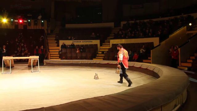 Дмитрий Халаджи.Подьём 3 гирь одной рукой общим весом 115 кг смотреть онлайн