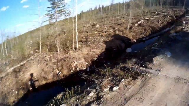 Капалуха на гнезде 14 мая... смотреть онлайн