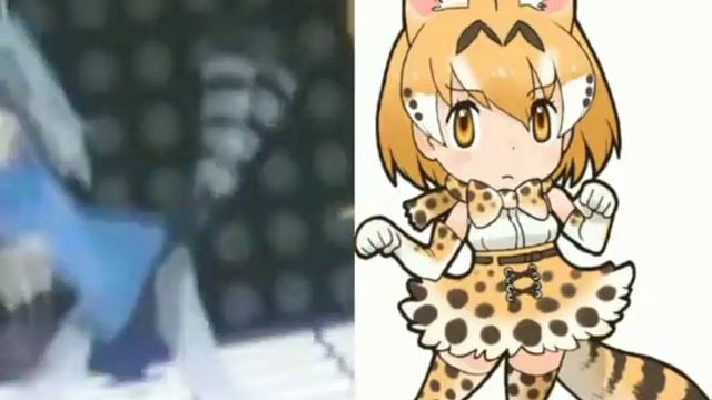 my extra serval смотреть онлайн