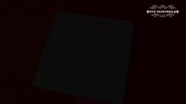 Символ 2016 года. Фото с обезьянкой. Детский фотограф смотреть онлайн