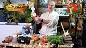 Подсветка Рассады! Точное Расстояние от ЛАМП до РАСТЕНИЙ На какой высоте над горшочками вешать ламп