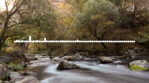 ЗУЛЬМИРА - МЕДЛЯК 2024