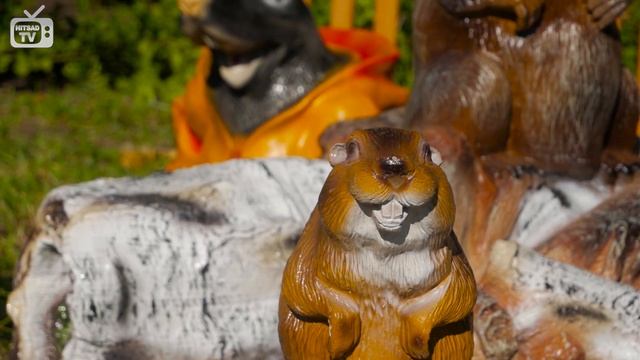 Декоративные крышки люков ХИТЫ HITSAD смотреть онлайн