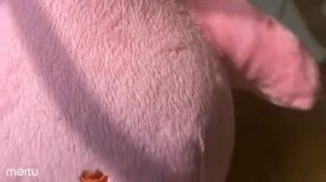 Мягкая игрушка Спанч Боб Квадратные штаны Патрик видео