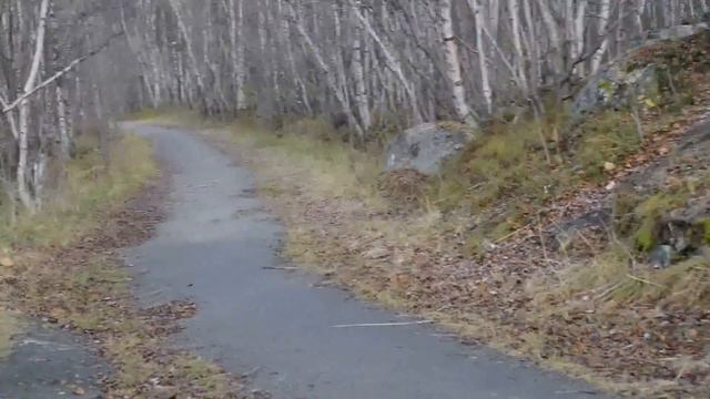 Североморск. Ваенга. 7 октября 2015 года смотреть онлайн
