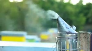 Двухкорпусное содержание пчёл.