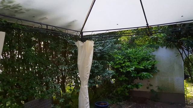 палатка за 200€, сюрприз для жены, соседи стукачи